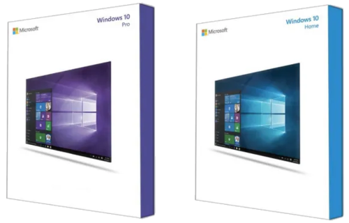 Microsoft Windows 10 home and professional